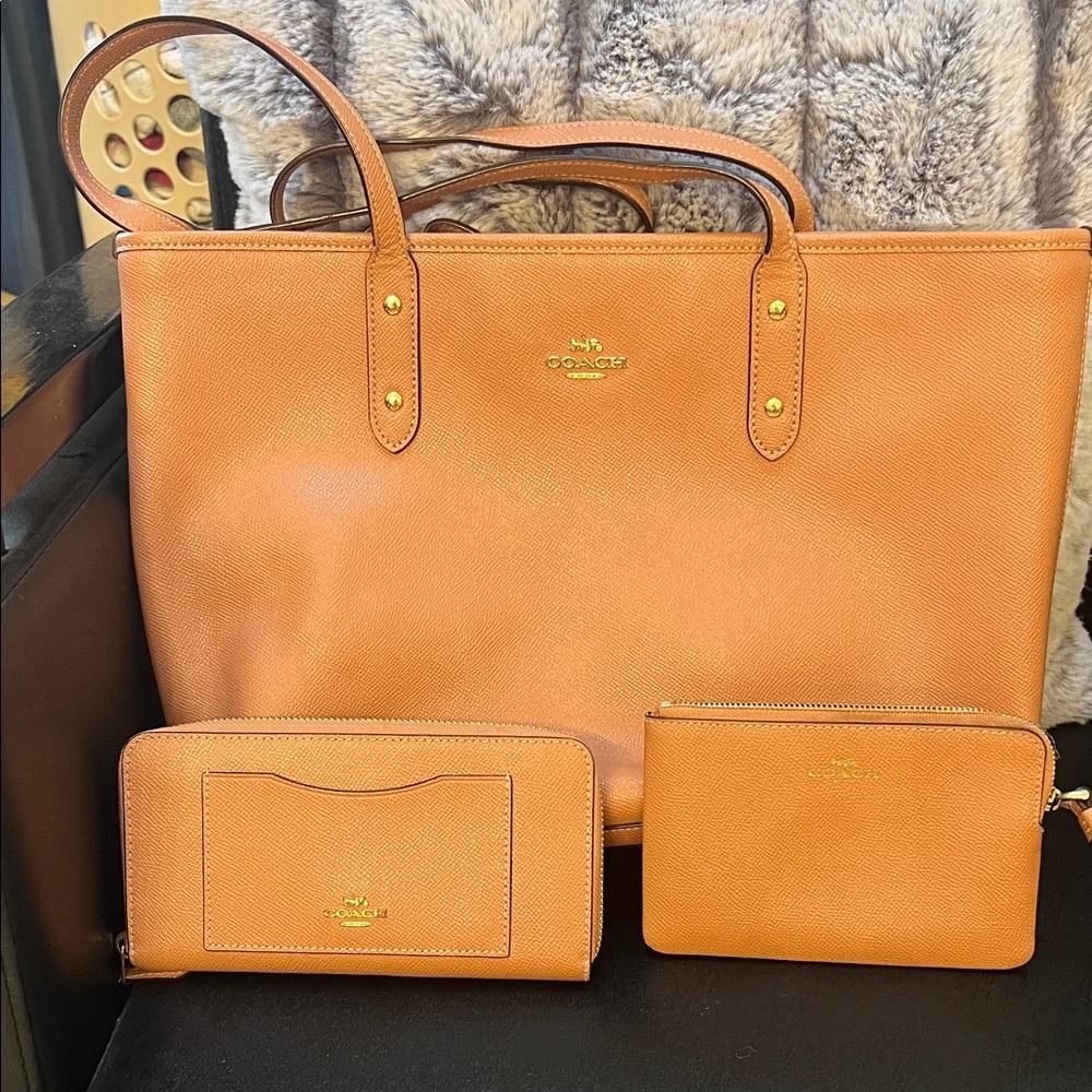 Coach light pink Tote Bag Set